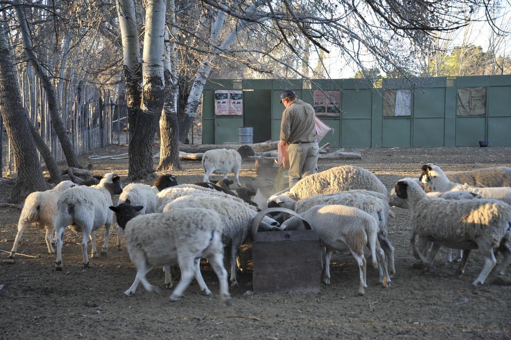 Willa Melton Wold Guest Farm Meltonwold Zewnętrze zdjęcie